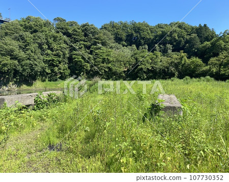 與稻田的風景 與稻田的風景 107730352