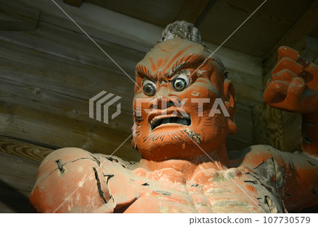 Konshoji Temple, Kongo Rikishi Statue at Niomon Gate, Arahari, Ritto City, Shiga Prefecture 107730579