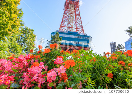 秋葉、鮮花和札幌電視塔 107730620