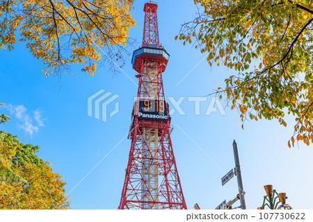 秋葉、鮮花和札幌電視塔 秋葉、鮮花和札幌電視塔 107730622