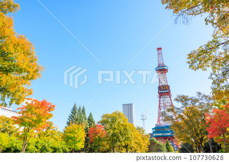 秋葉、鮮花和札幌電視塔 107730628