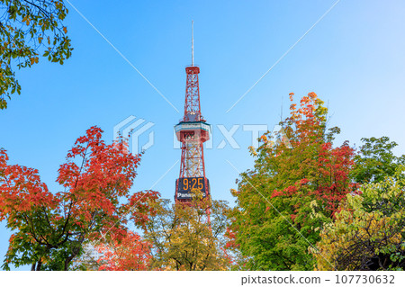 秋葉、鮮花和札幌電視塔 107730632