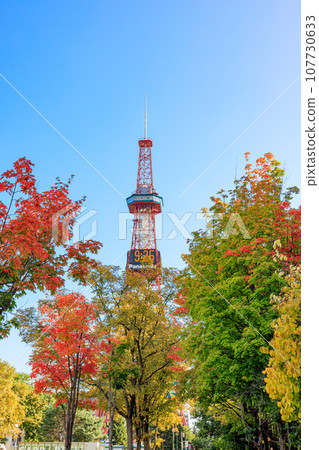 秋葉、鮮花和札幌電視塔 秋葉、鮮花和札幌電視塔 107730633