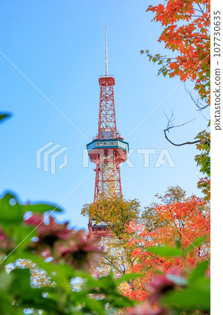 秋葉、鮮花和札幌電視塔 107730635