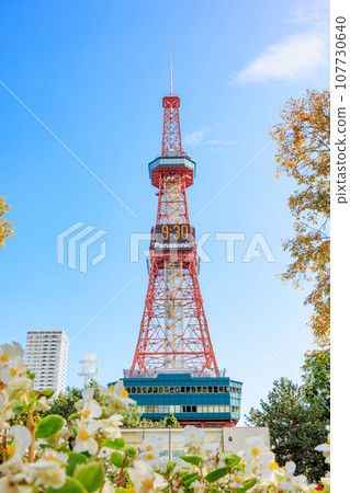 秋葉、鮮花和札幌電視塔 秋葉、鮮花和札幌電視塔 107730640