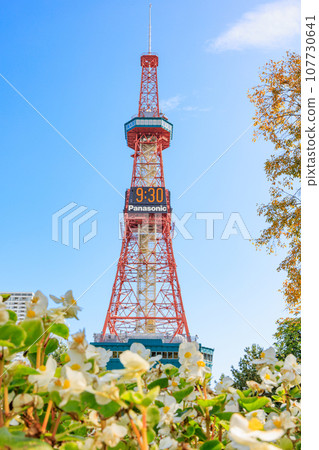 秋葉、鮮花和札幌電視塔 秋葉、鮮花和札幌電視塔 107730641