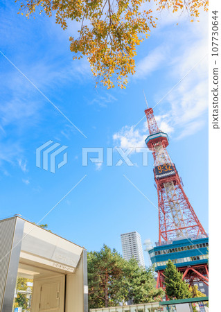 秋葉、鮮花和札幌電視塔 107730644