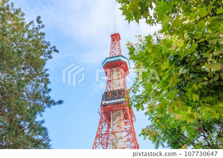 秋葉、鮮花和札幌電視塔 107730647