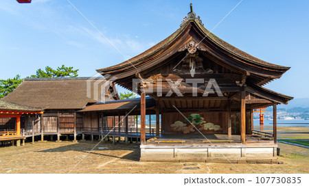 The grounds of Itsukushima Shrine, Hiroshima 107730835