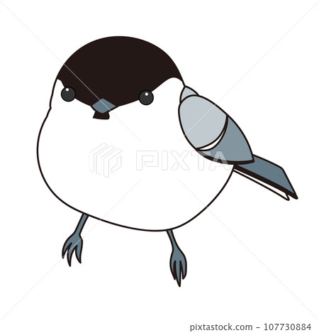 圓黑冠山雀 107730884