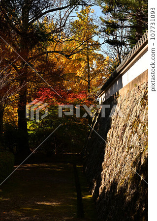 Banshu寺廟秋葉 Banshu寺廟秋葉 107731093