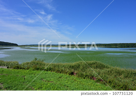 Ciraruto湖 Ciraruto湖 107731120