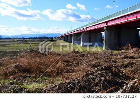 從河床眺望日本最寬的河流大成橋 107731127