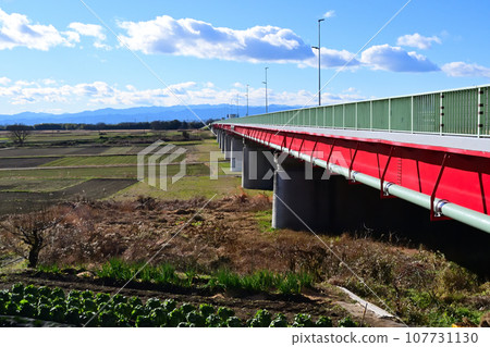 從河床眺望日本最寬的河流大成橋 107731130