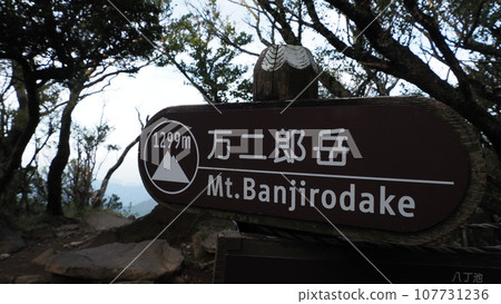 伊豆萬代岳 伊豆萬代岳 107731236