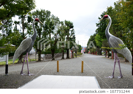 Hakozaki Hachiman Shrine 107731244