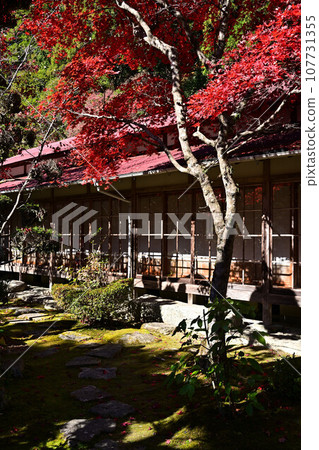 Banshu寺廟秋葉 107731355