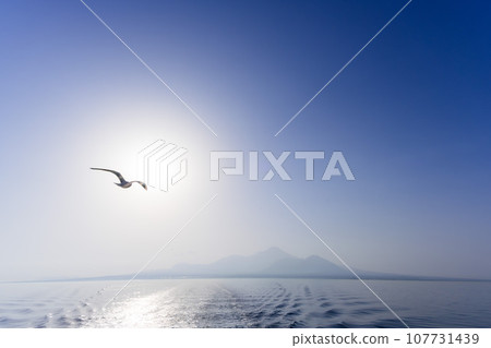 Beautiful sea and sunlight (sea breeze promenade) Ferry voyage and seagulls (seabirds) "Shimabara Port/Kumamoto Port Boat Travel Scenery" 107731439