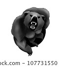 bear 107731550