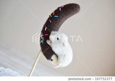 Woolly hamster clinging to chocolate banana 107732377