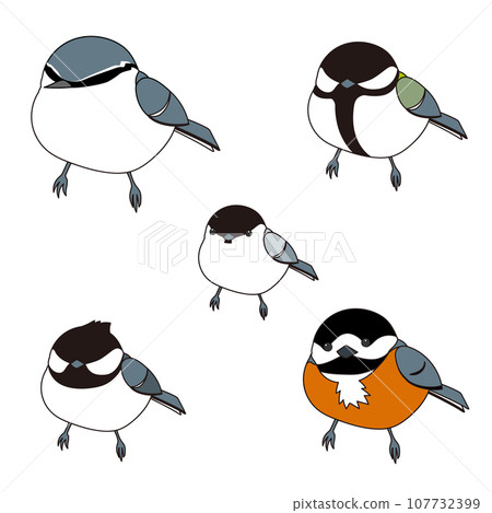 Small forest birds set of tits (nuthatches, great tits, parrots, black tits, black tits) Small forest birds set of tits (nuthatches, great tits, parrots, black tits, black tits) 107732399