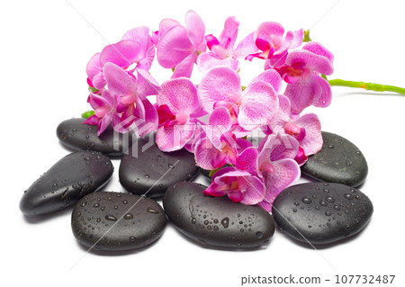 Spa stones and orchid flowers, isolated on white. Spa stones and orchid flowers, isolated on white. 107732487