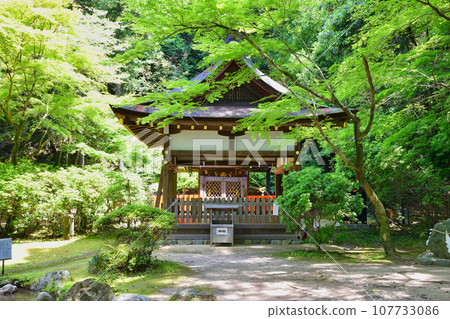 Kyoto Kamigamo Shrine Kamo Yamaguchi Shrine (Sawada Shrine) Hall of Worship 107733086