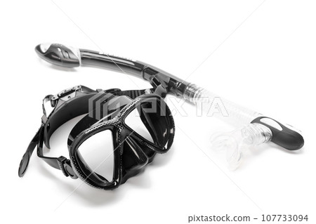 Snorkel and Diving Mask 107733094