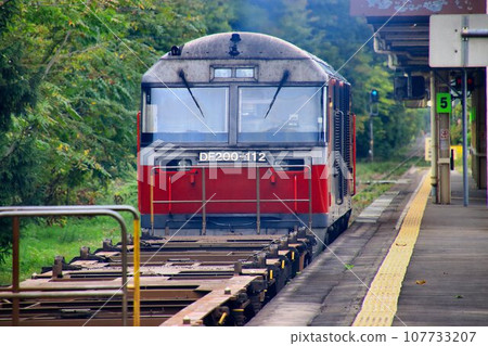 DF200內燃機車正在北方大地上辛勤耕耘…以貨櫃貨運列車支撐北海道物流。 107733207