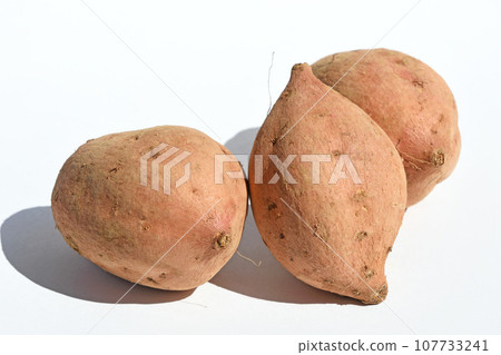 甘藷(Anno potato) 甘藷(Anno potato) 107733241