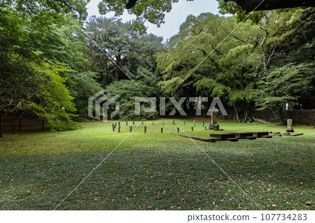 Jeju Sanseongana 107734283