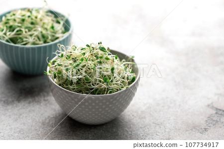 Microgreens grown in a jar. Microgreens grown in a jar. 107734917