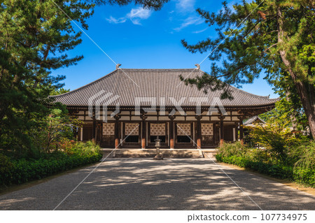 Golden Hall of Toshodaiji temple located in nara, kansai, japan. 107734975