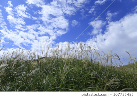 A landscape with Susuki A landscape with Susuki 107735485