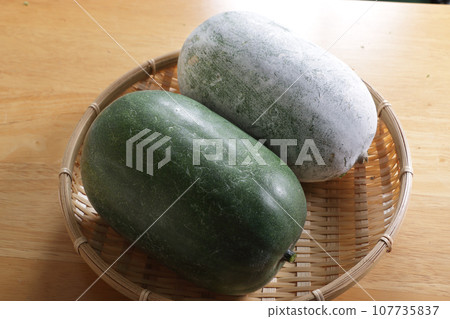 winter melon studio photography 107735837