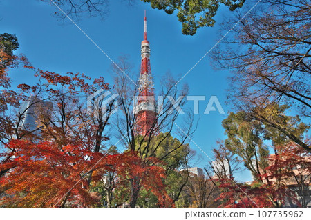 芝公園秋葉城市景觀與藍天東京鐵塔 107735962