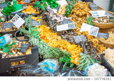 mushroom shop mushroom shop 107736161