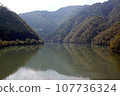 Majestic scenery of the Tenryu River in Nagano Prefecture (1) 107736324