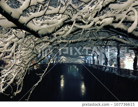 A scene from Nakameguro, Tokyo in the snow (1) A scene from Nakameguro, Tokyo in the snow (1) 107736615