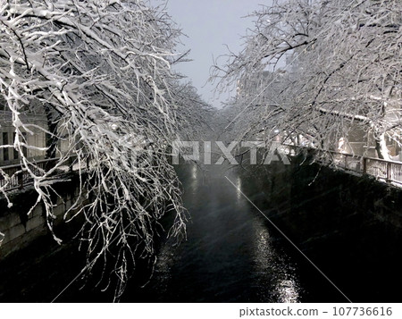 A scene from Nakameguro, Tokyo in the snow (2) A scene from Nakameguro, Tokyo in the snow (2) 107736616