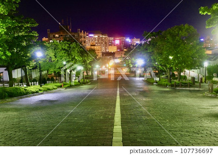 Nijukkenzaka/Night view (Hokkaido/Hakodate City) Nijukkenzaka/Night view (Hokkaido/Hakodate City) 107736697