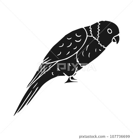 Vector hand drawn doodle sketch black lory parrot 107736699