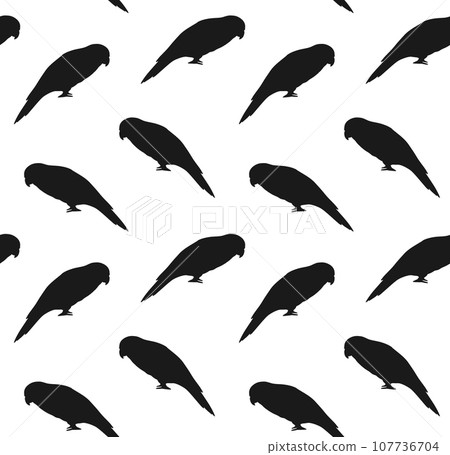 Vector seamless pattern of lory parrot silhouette 107736704