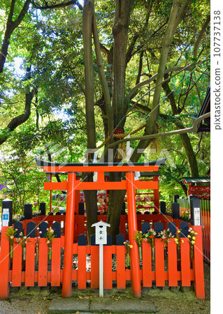Kyoto Shimogamo Shrine Renri no Kenki 107737138