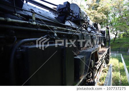 Tsukairaku Park, Tsu City, Mie Prefecture 107737275