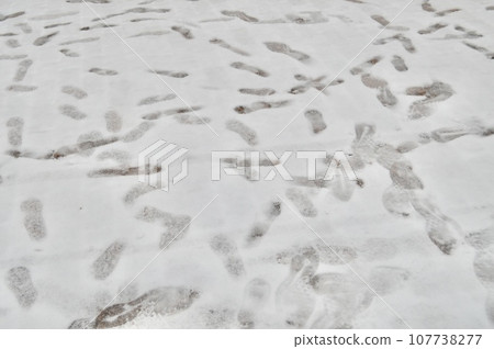 Countless footprints lined up on the snow on the ground 107738277