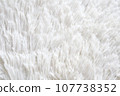 long pile white carpet 107738352