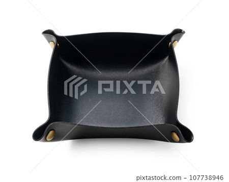 accessory case 107738946