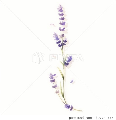 [AI生成圖像] 薰衣草花已經盛開了 107740557
