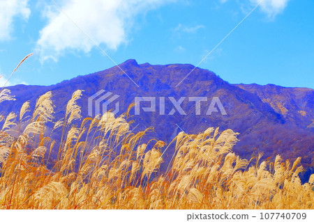 Mt. Bald and a cluster of pampas grass in late autumn Mt. Bald and a cluster of pampas grass in late autumn 107740709